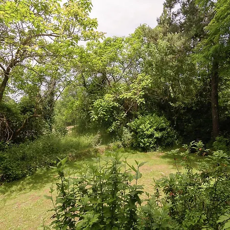 Tatil Evi In Vezere Valley Near Lascaux Caves, Cleaning Included